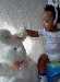 thumbnails/IM000719_small.jpg
